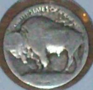 Are-These-1913-Buffalo-Nickels?